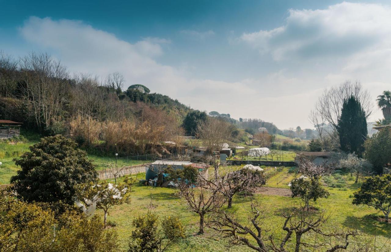 B&B Il Giardino Di Gabri 로마 외부 사진