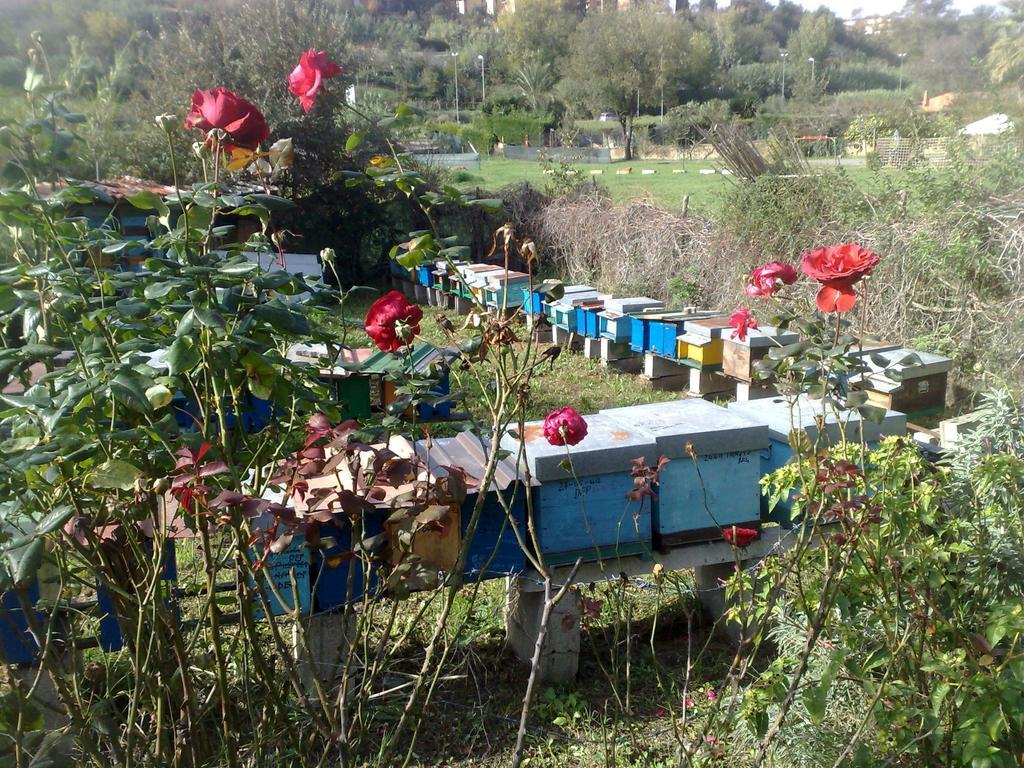 B&B Il Giardino Di Gabri 로마 외부 사진
