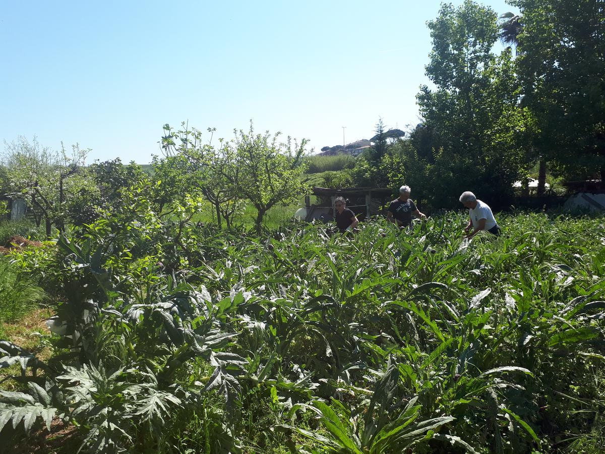 B&B Il Giardino Di Gabri 로마 외부 사진