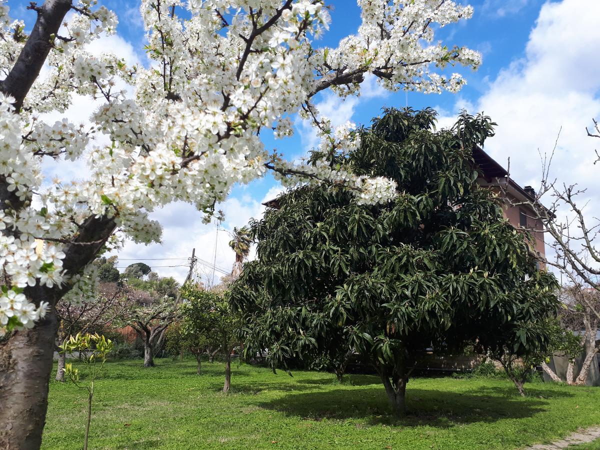 B&B Il Giardino Di Gabri 로마 외부 사진